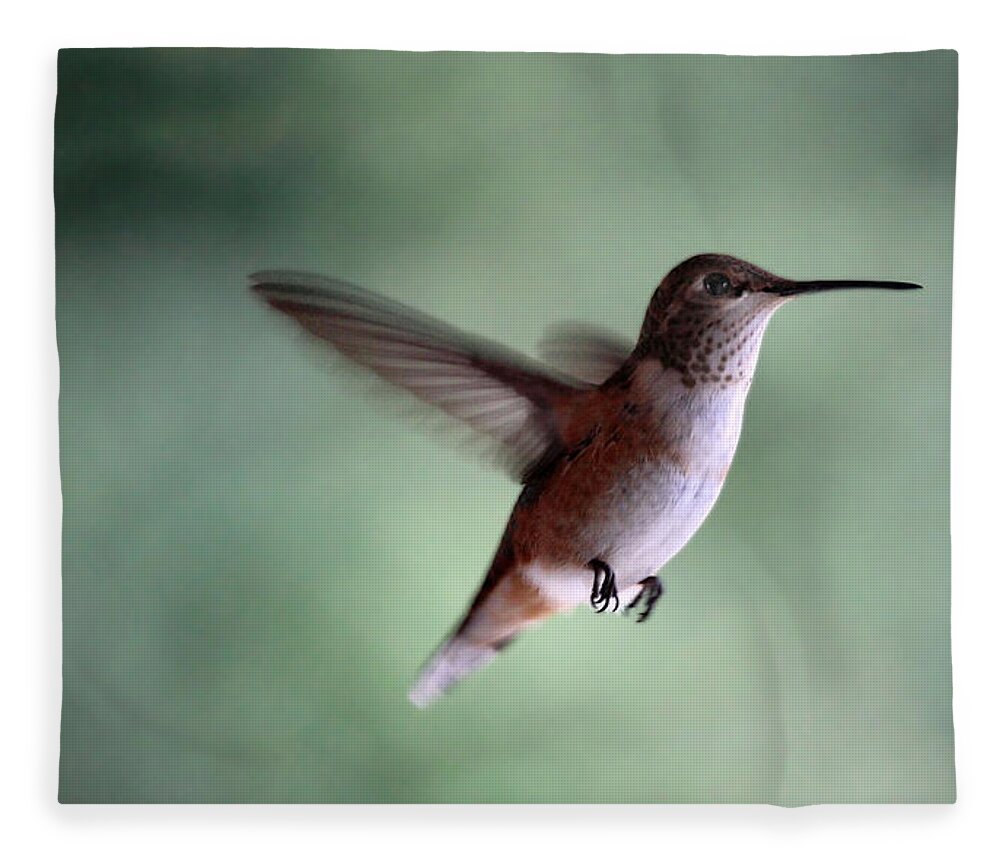 Birds Fleece Blanket featuring the photograph FREEDOM - Pillow format by Rory Siegel