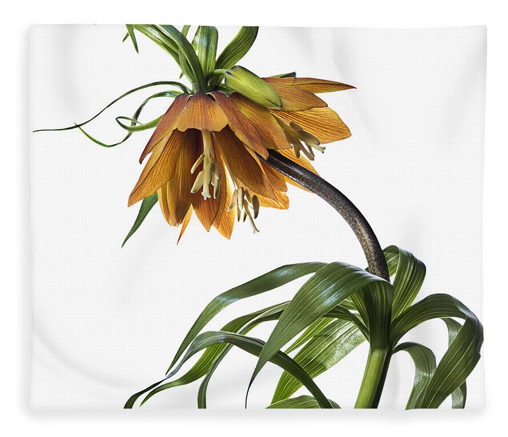 Flower Fleece Blanket featuring the photograph Fritillaria Imperialis by Endre Balogh