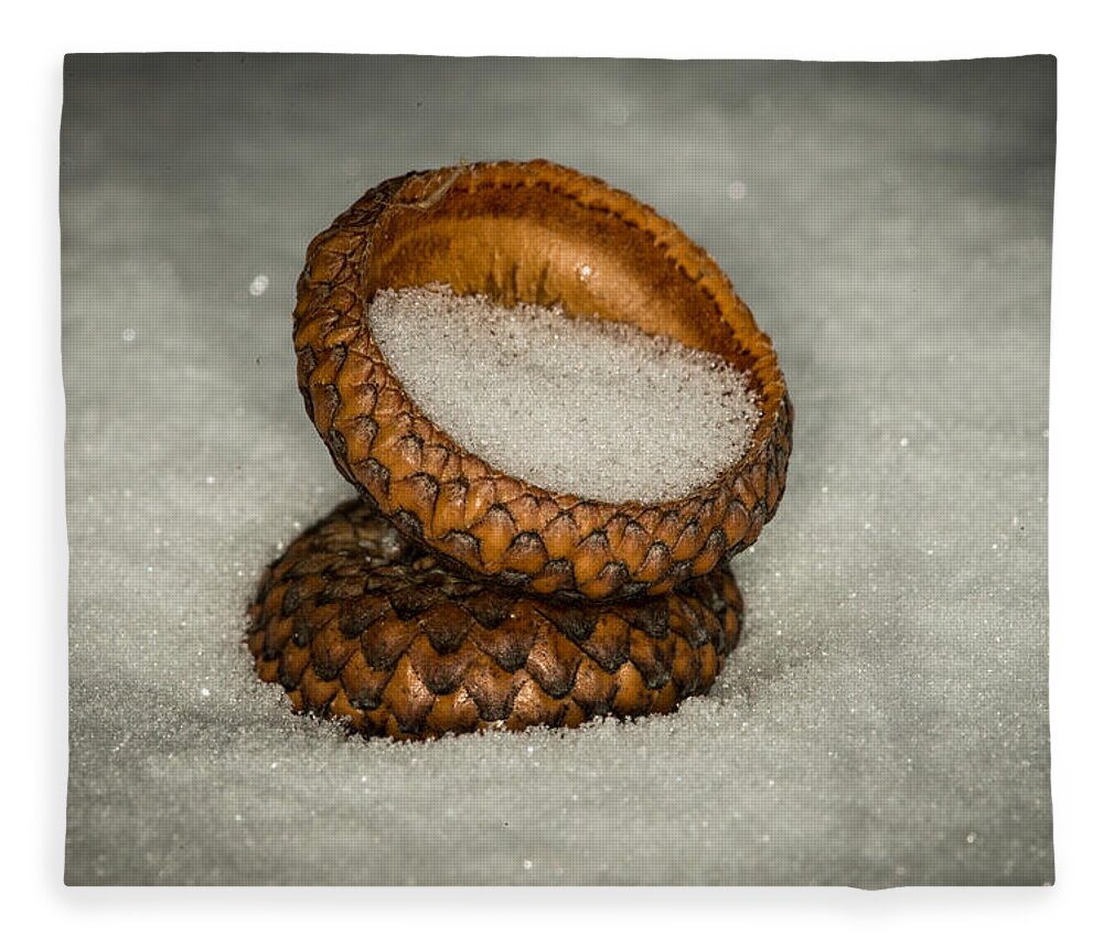 Nature Photograph Fleece Blanket featuring the photograph Frozen Acorn Cupule by Paul Freidlund