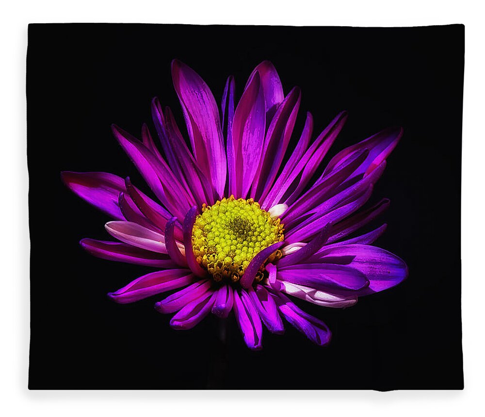 Flower Fleece Blanket featuring the photograph Fuchsia Floral Bloom by Bill and Linda Tiepelman