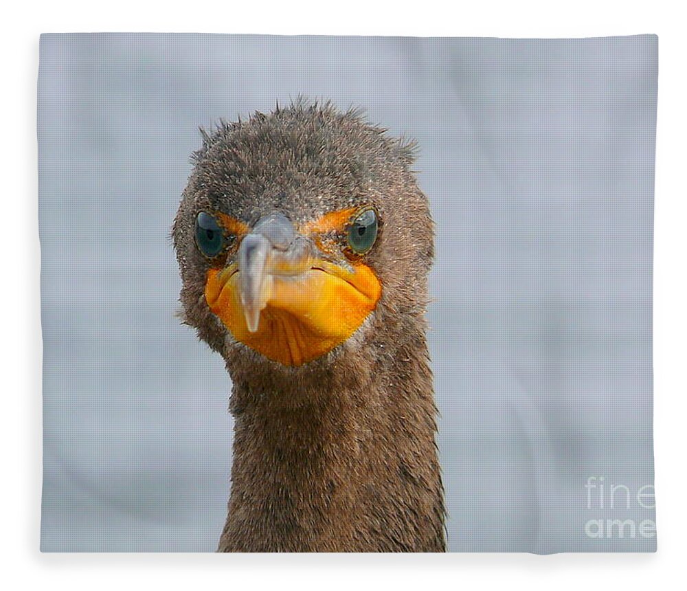 Alive Fleece Blanket featuring the photograph Funny looking Bird by Amanda Mohler