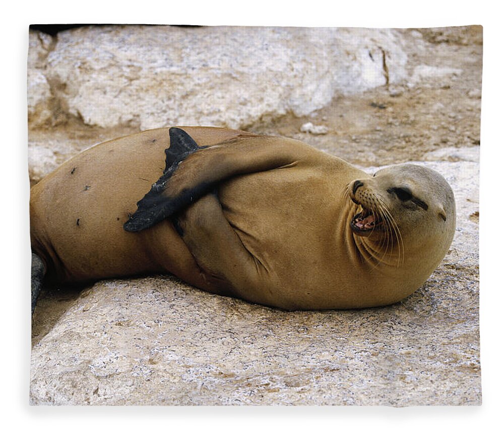 Feb0514 Fleece Blanket featuring the photograph Galapagos Sea Lion Calling by Konrad Wothe