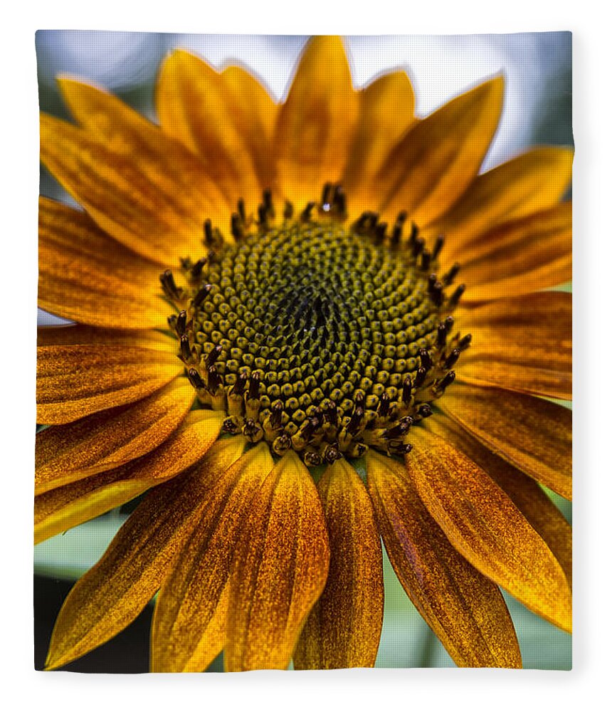 Flower Fleece Blanket featuring the photograph Garden Sunflower by Erika Fawcett