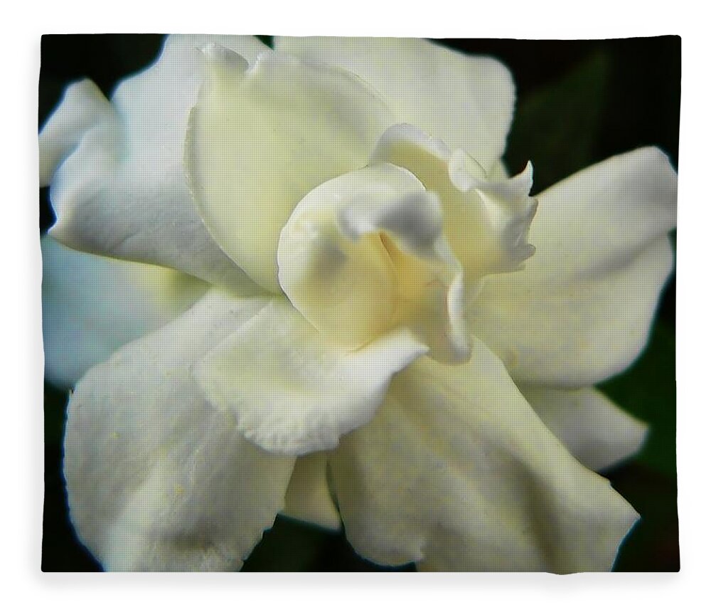 Gardenia Fleece Blanket featuring the photograph Gardenia by Steve Ondrus