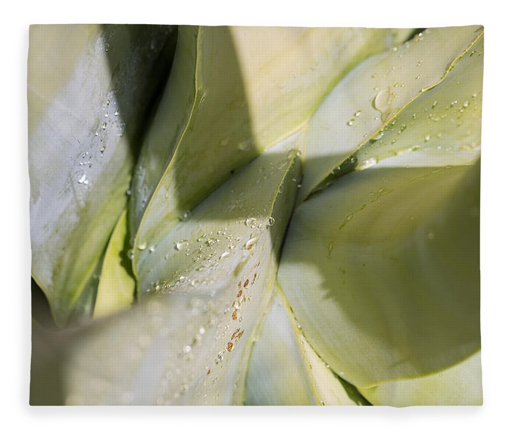 Agave Fleece Blanket featuring the photograph Giant Agave Abstract 3 by Scott Campbell