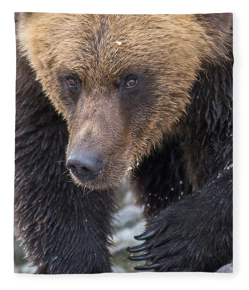 Bear Fleece Blanket featuring the photograph Glacier's Edge by Kevin Dietrich