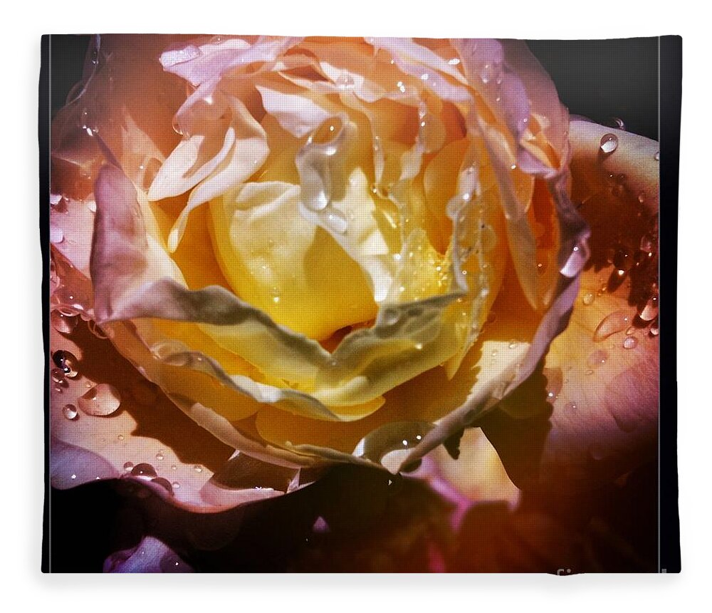 Raindrops Fleece Blanket featuring the photograph Glistening Rose by Denise Railey