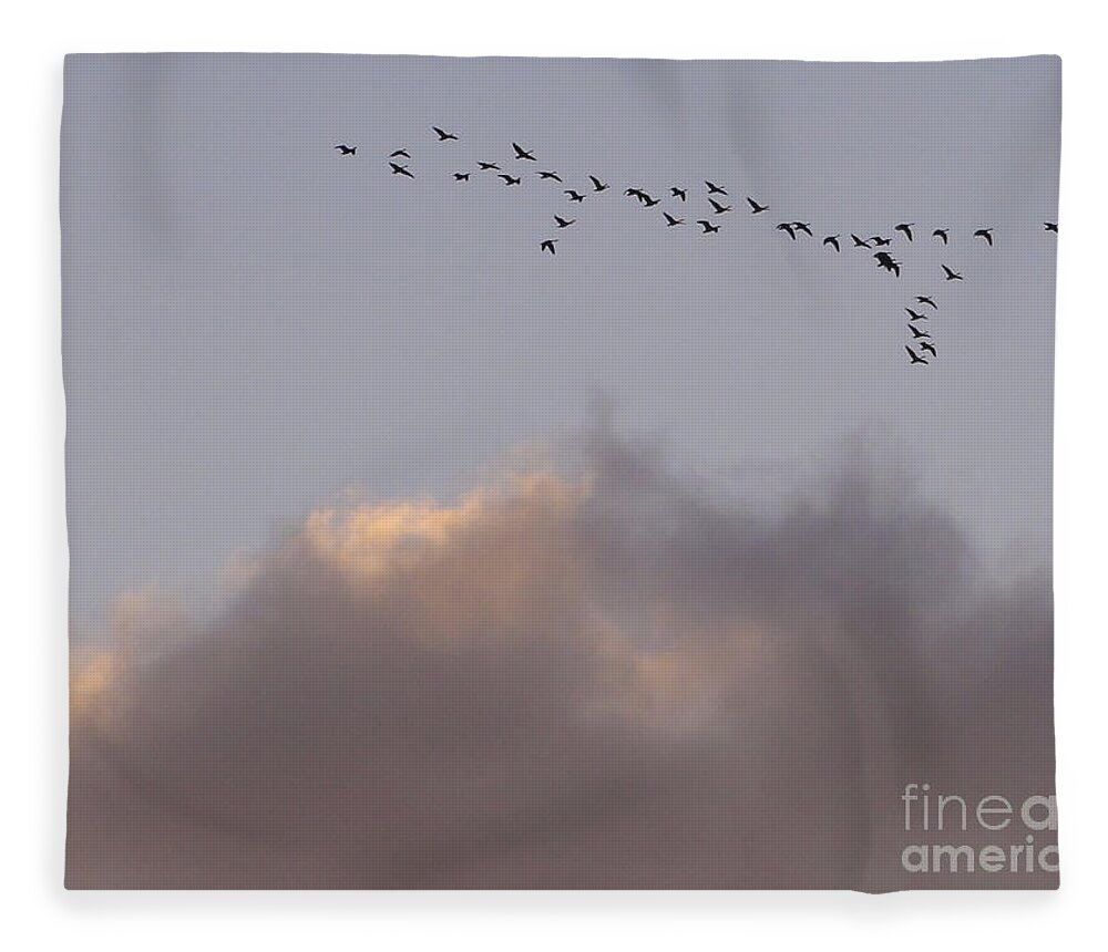 Birds Fleece Blanket featuring the photograph Going Places by Christopher Plummer