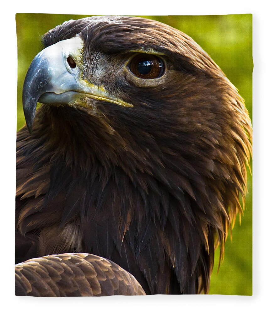 Golden Eagle Fleece Blanket featuring the photograph Golden Eagle by Robert L Jackson