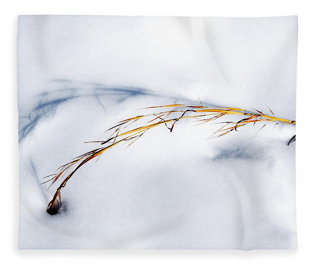 Photo Fleece Blanket featuring the photograph Golden Grass and Shadow in Snow by John Haldane