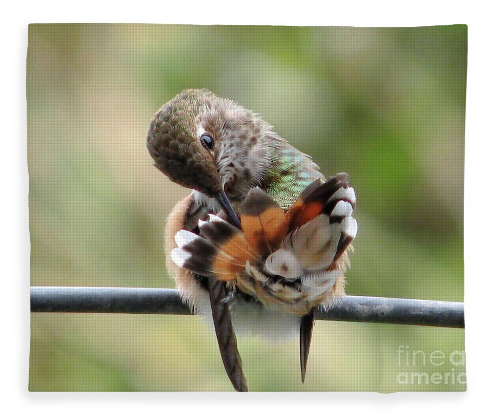 Hummingbirds Fleece Blanket featuring the photograph Good Grooming by Rory Siegel