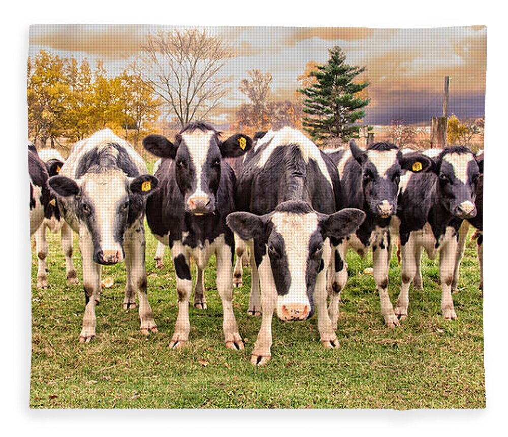 Cows Fleece Blanket featuring the photograph Got Grain? by Jan Killian