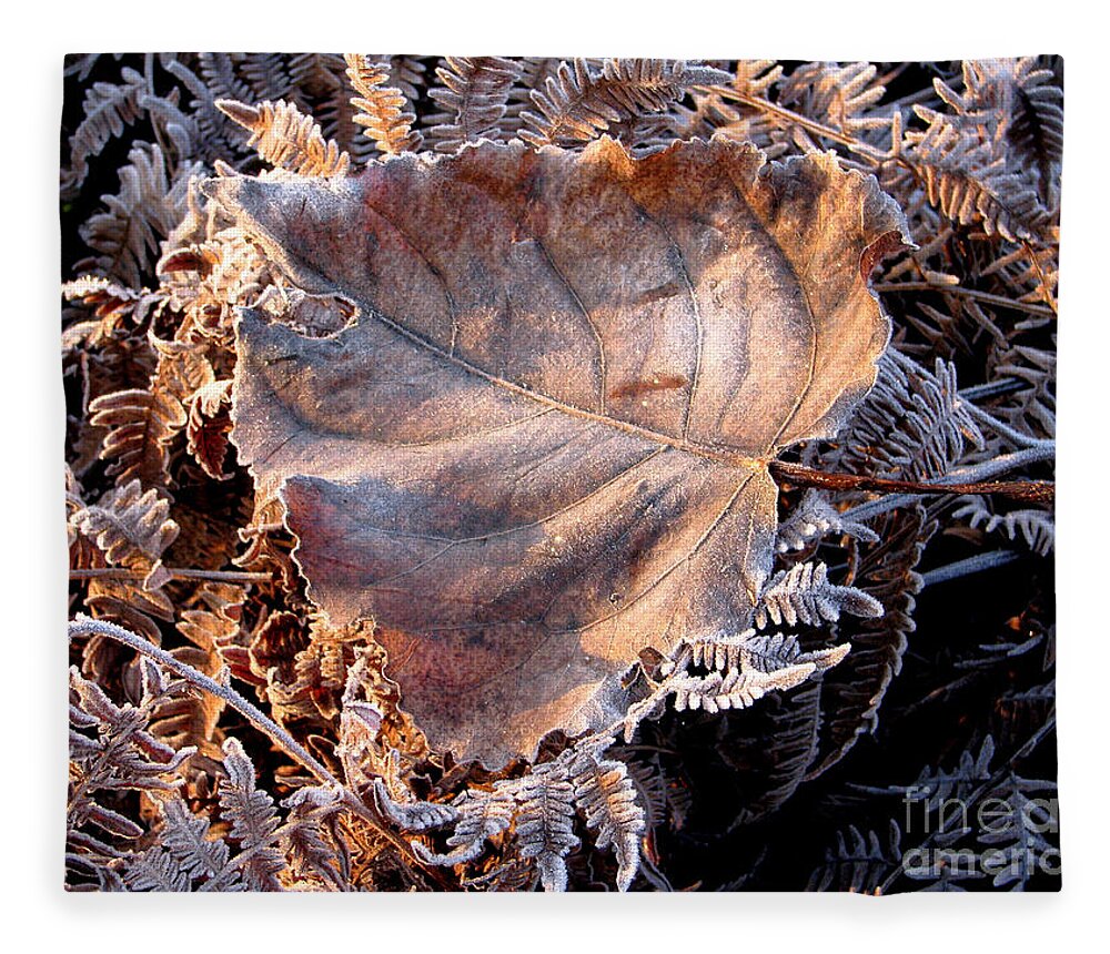 Fall Fleece Blanket featuring the photograph Graced By Frost by Rory Siegel