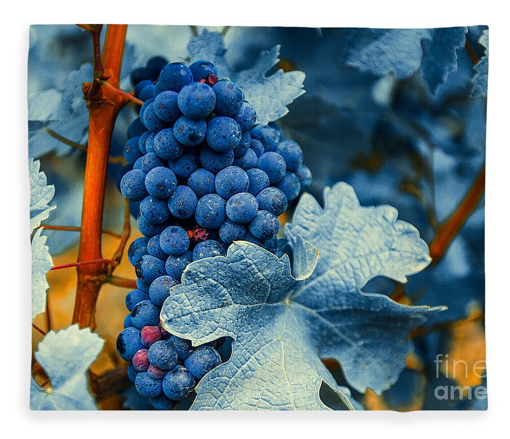 Blue Fleece Blanket featuring the photograph Grapes - Blue by Hannes Cmarits