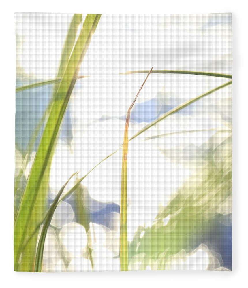 Balance Fleece Blanket featuring the photograph Grasses and sun reflections - high key - available for licensing by Ulrich Kunst And Bettina Scheidulin