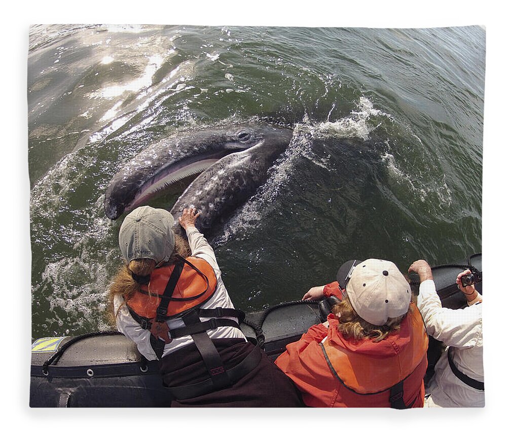 Feb0514 Fleece Blanket featuring the photograph Gray Whale Calf And Tourists Baja by Flip Nicklin