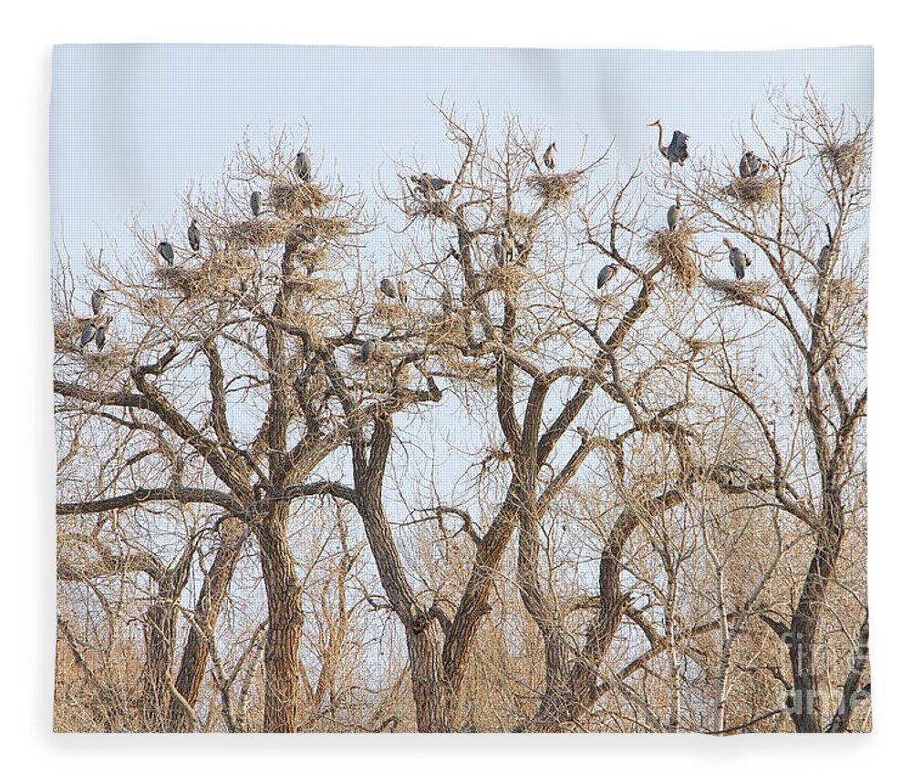 Animals Fleece Blanket featuring the photograph Great Blue Heron Colony by James BO Insogna