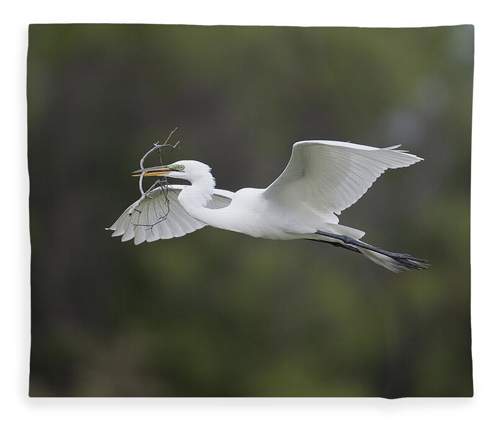 Feb0514 Fleece Blanket featuring the photograph Great Egret Carrying Nesting Material by Tom Vezo