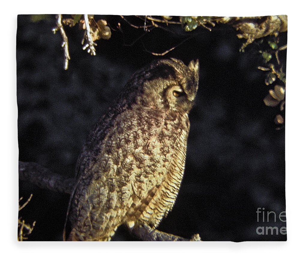Owl Fleece Blanket featuring the photograph Great Horned Owl by Howard Stapleton
