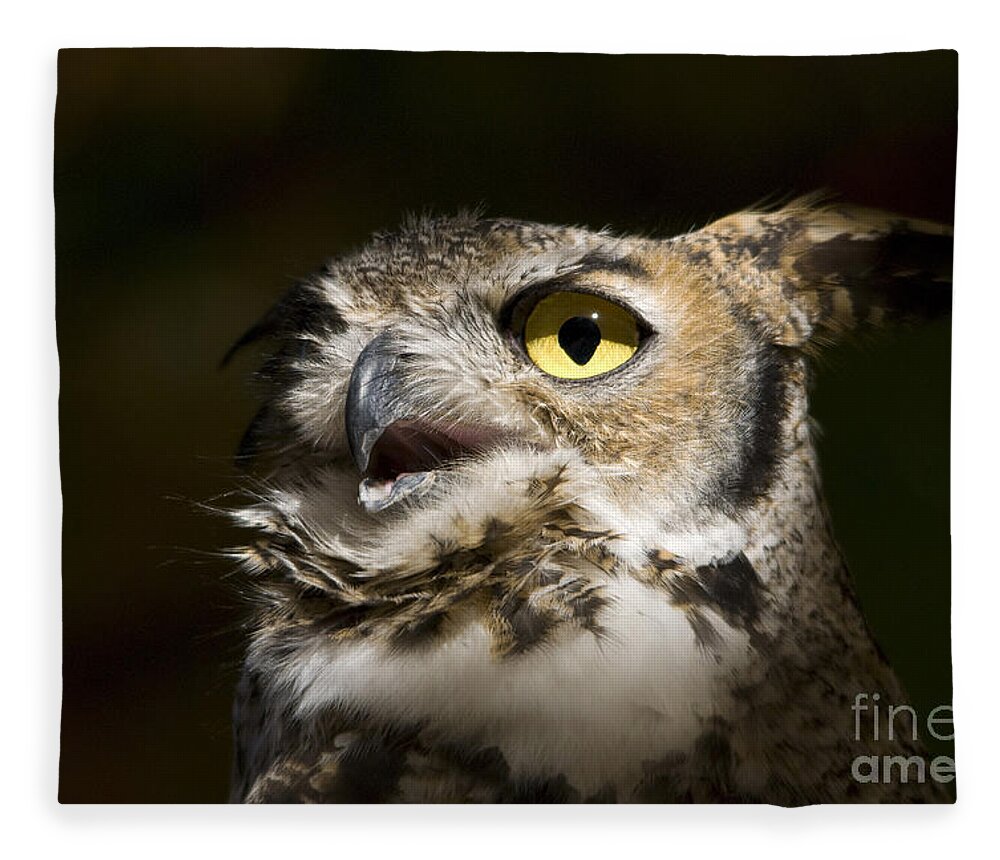 Owl Fleece Blanket featuring the photograph Great Horned Owl by John Greco