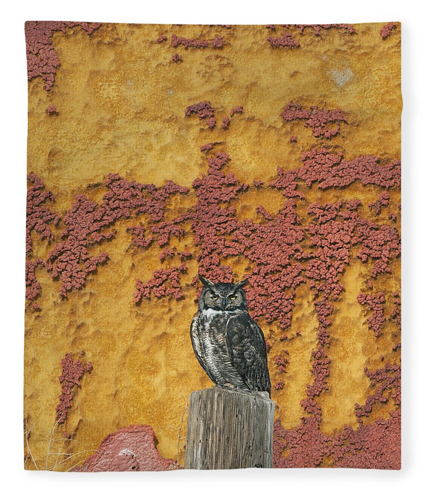 Feb0514 Fleece Blanket featuring the photograph Great Horned Owl Tule Lake Nwr by Kevin Schafer