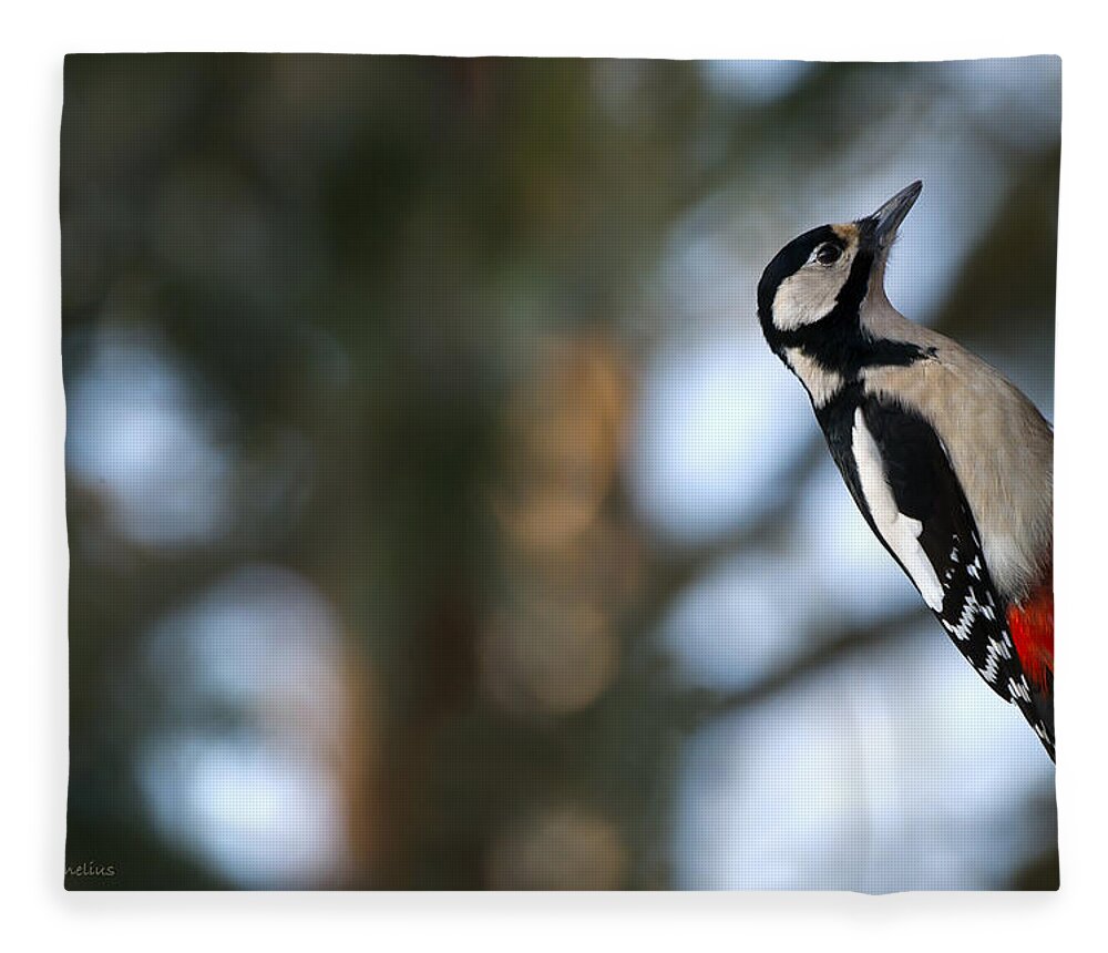 Great Spotted Woodpecker Fleece Blanket featuring the photograph Great Spotted Woodpecker by Torbjorn Swenelius