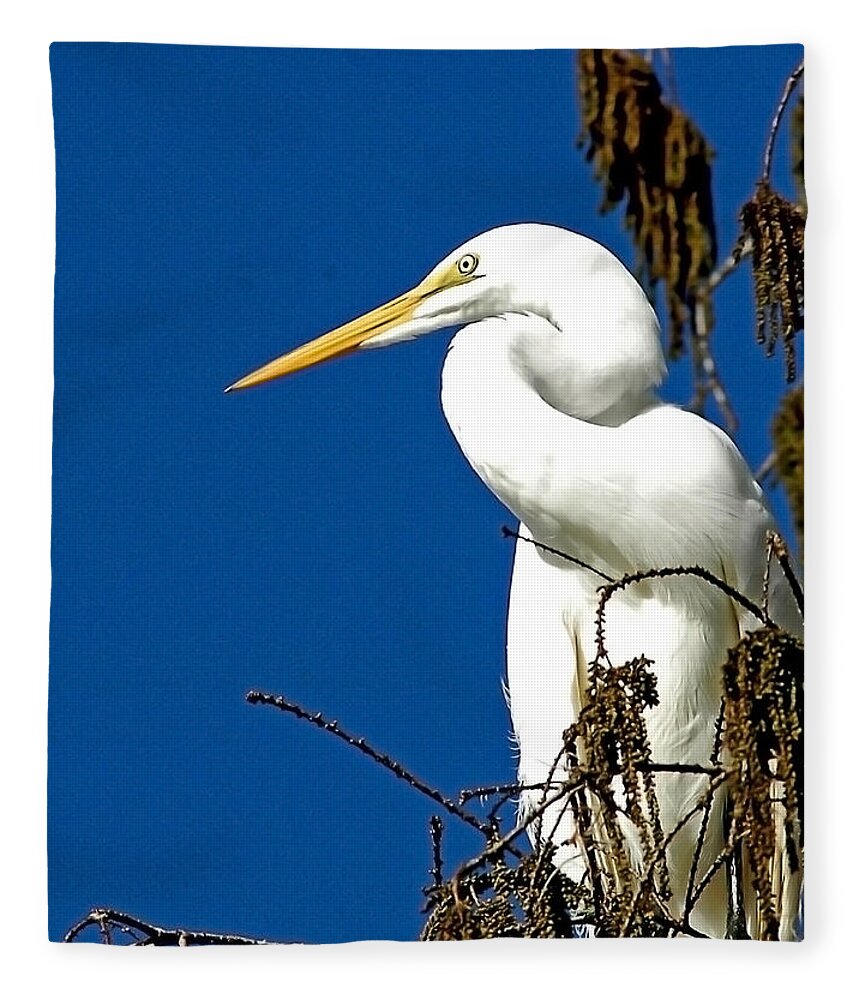 Great White Egret Fleece Blanket featuring the photograph Great White Curves by Norman Johnson