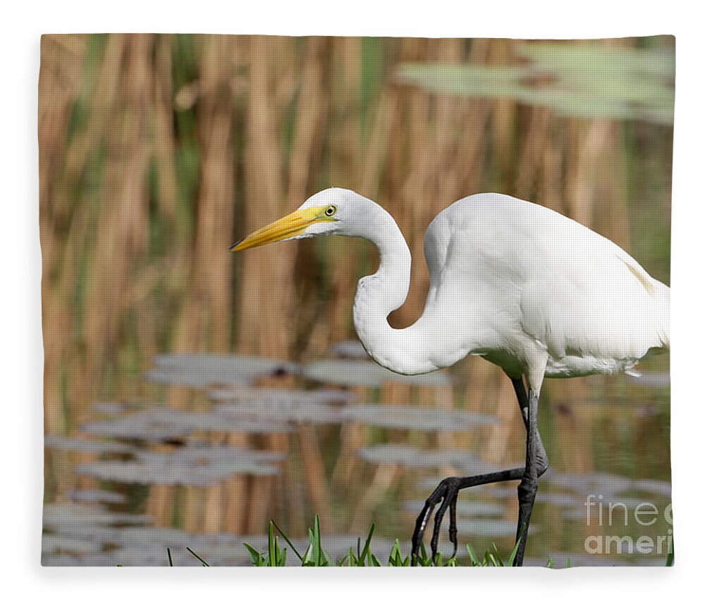 Egret Fleece Blanket featuring the photograph Great White Egret by the River by Sabrina L Ryan