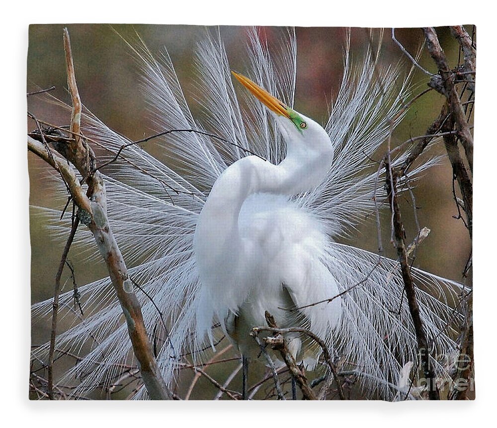 Birds Fleece Blanket featuring the photograph Great White Egret With Breeding Plumage by Kathy Baccari