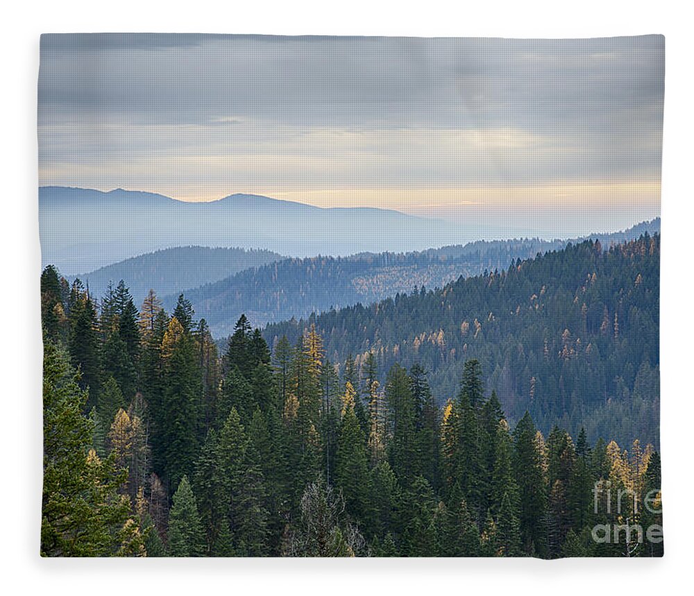 Coeur D'alene National Forest Fleece Blanket featuring the photograph Green and Gold Forest by Idaho Scenic Images Linda Lantzy