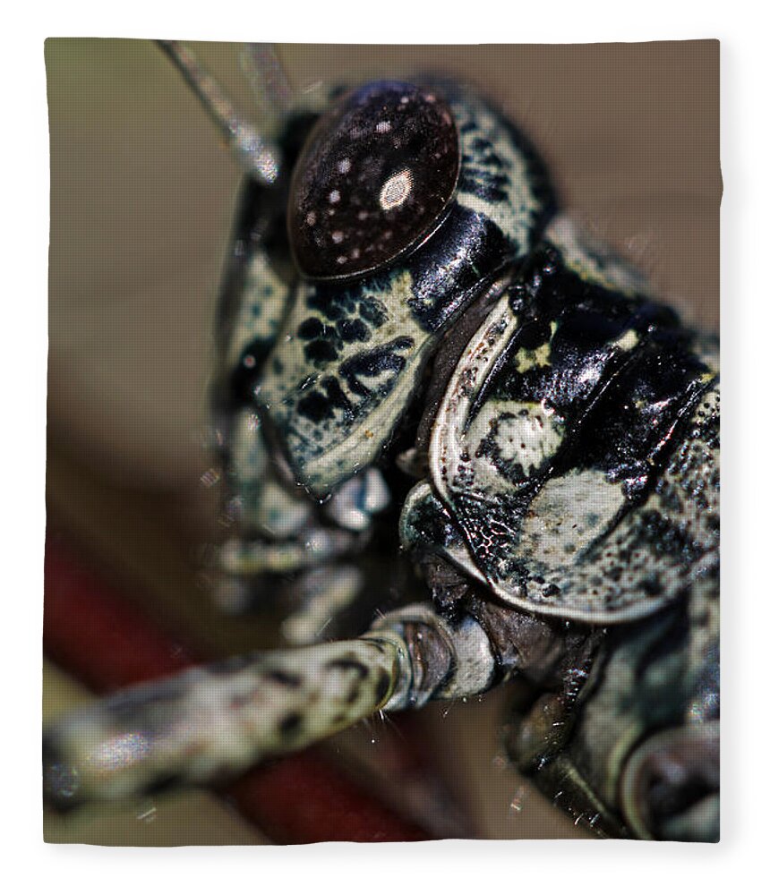 Insects Fleece Blanket featuring the photograph Green armor by Jennifer Robin