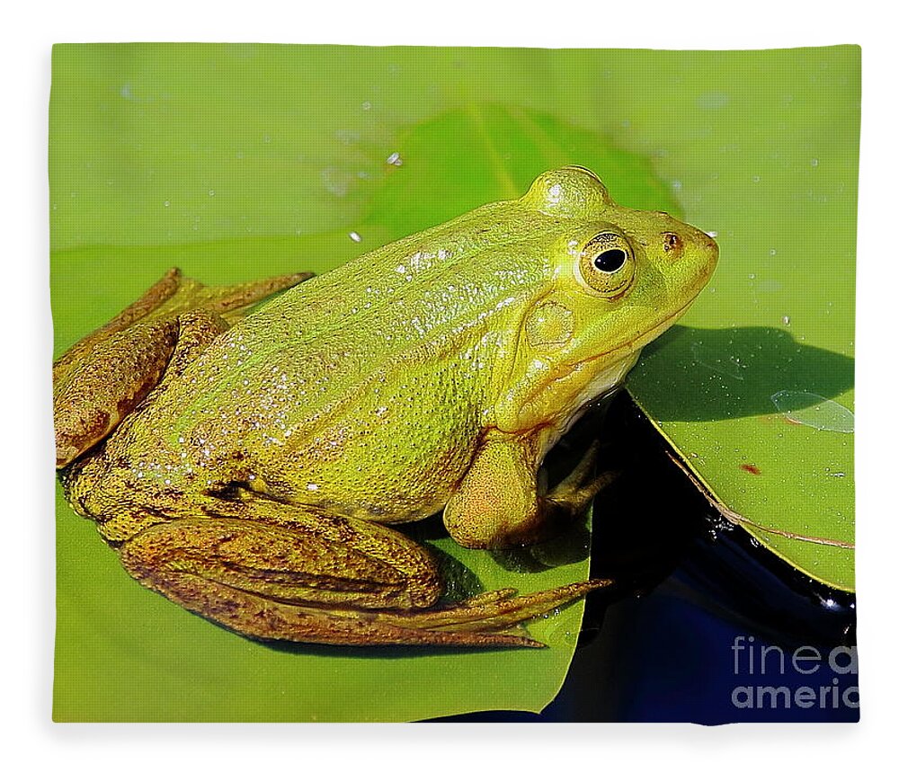 Frogs Fleece Blanket featuring the photograph Green Frog 2 by Amanda Mohler
