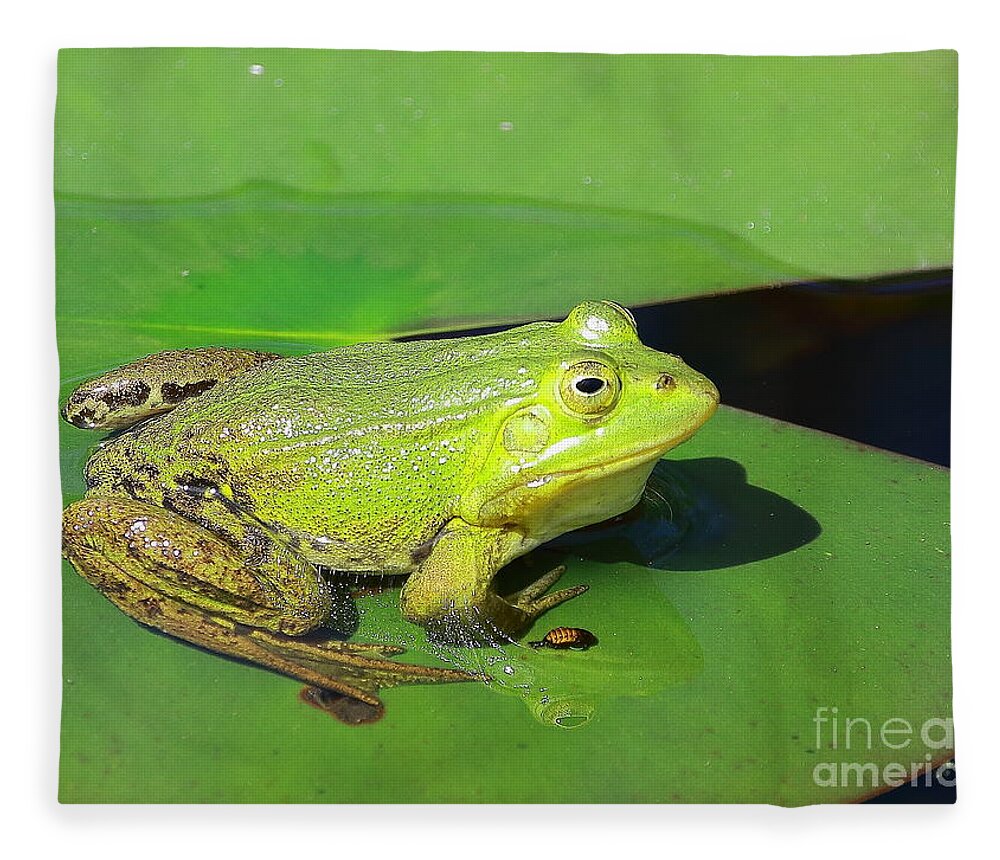 Frogs Fleece Blanket featuring the photograph Green Frog by Amanda Mohler