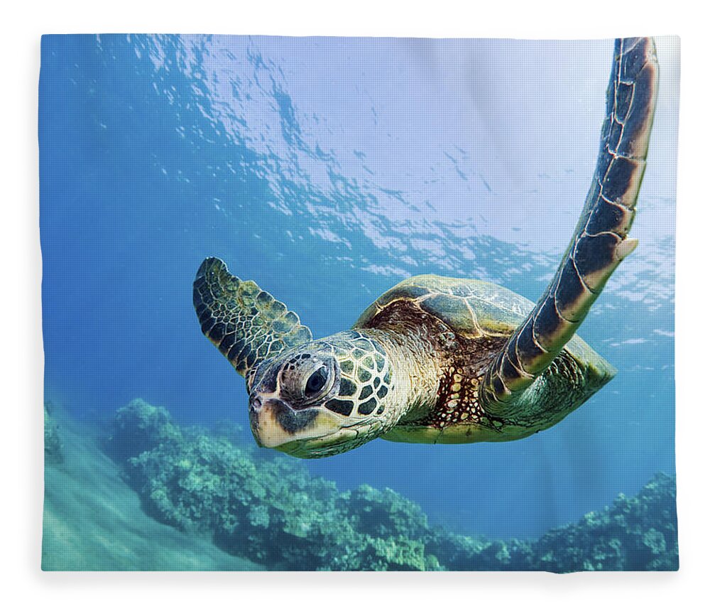 Animal Fleece Blanket featuring the photograph Green Sea Turtle - Maui by M Swiet Productions