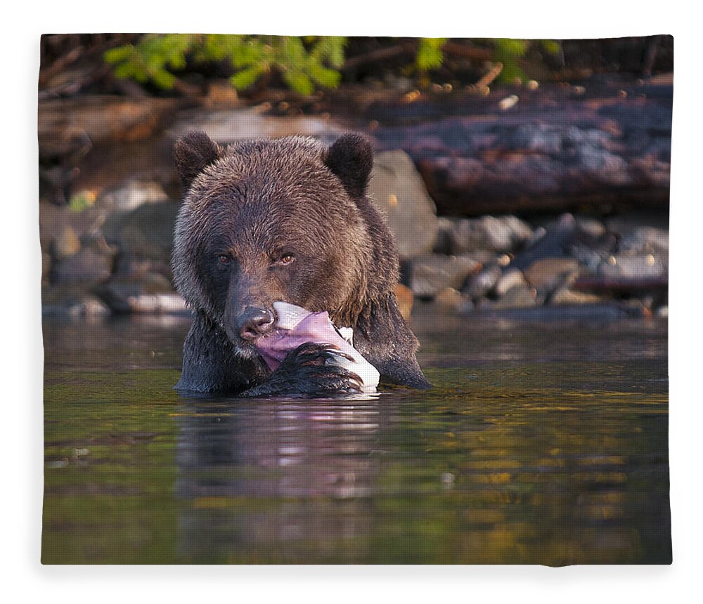 Grizzly Fleece Blanket featuring the photograph Grizzly and Salmon by Bill Cubitt