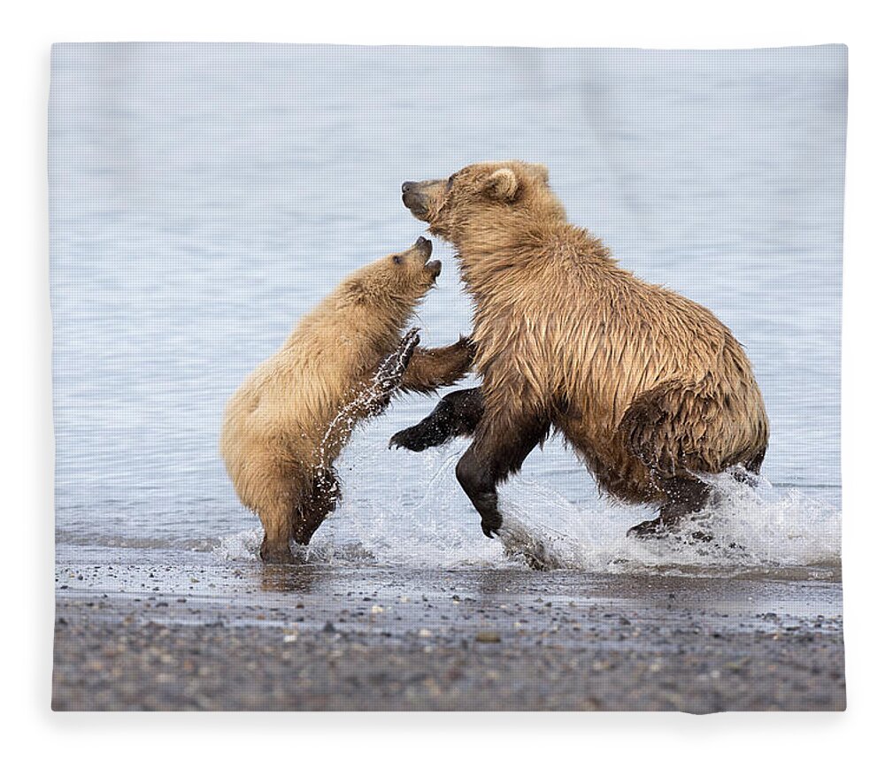 Richard Garvey-williams Fleece Blanket featuring the photograph Grizzly Bear Mother Playing by Richard Garvey-Williams