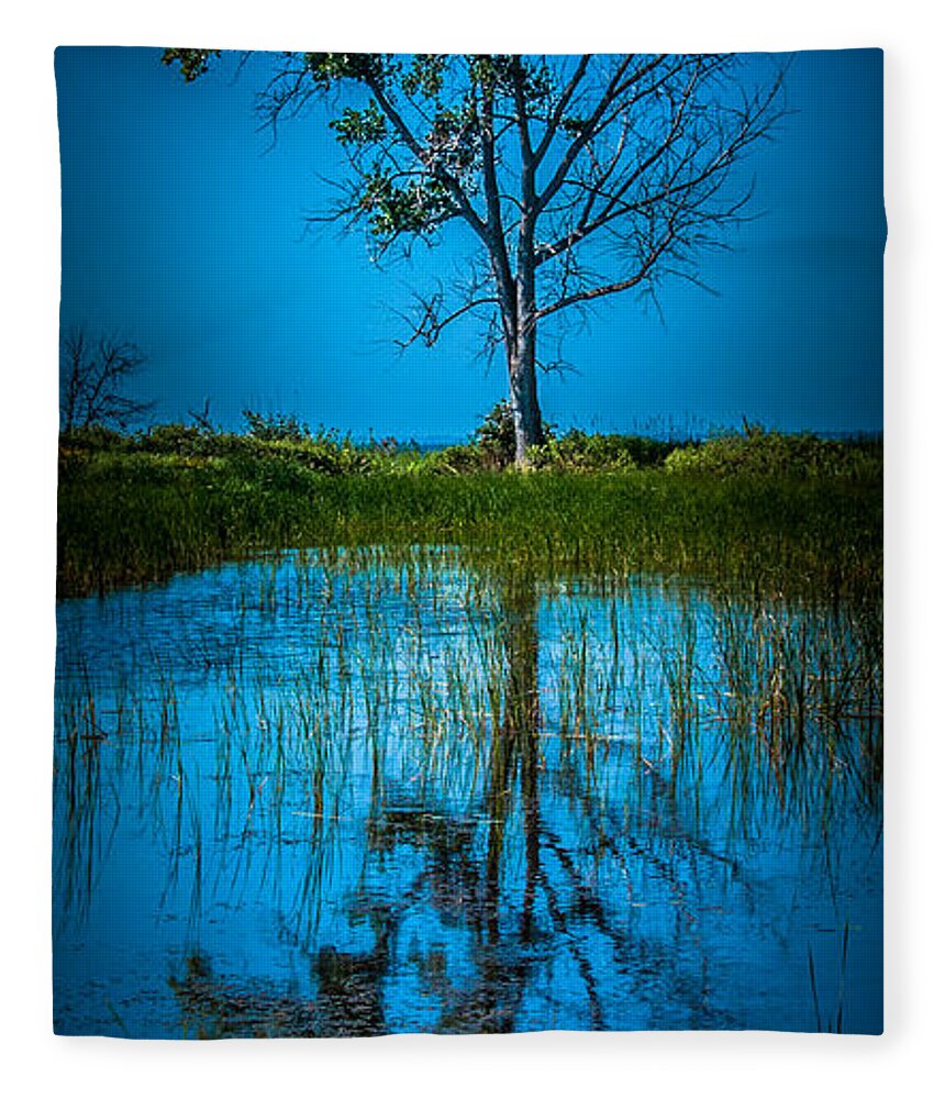 Tree Fleece Blanket featuring the photograph Half Alive by Ronald Grogan