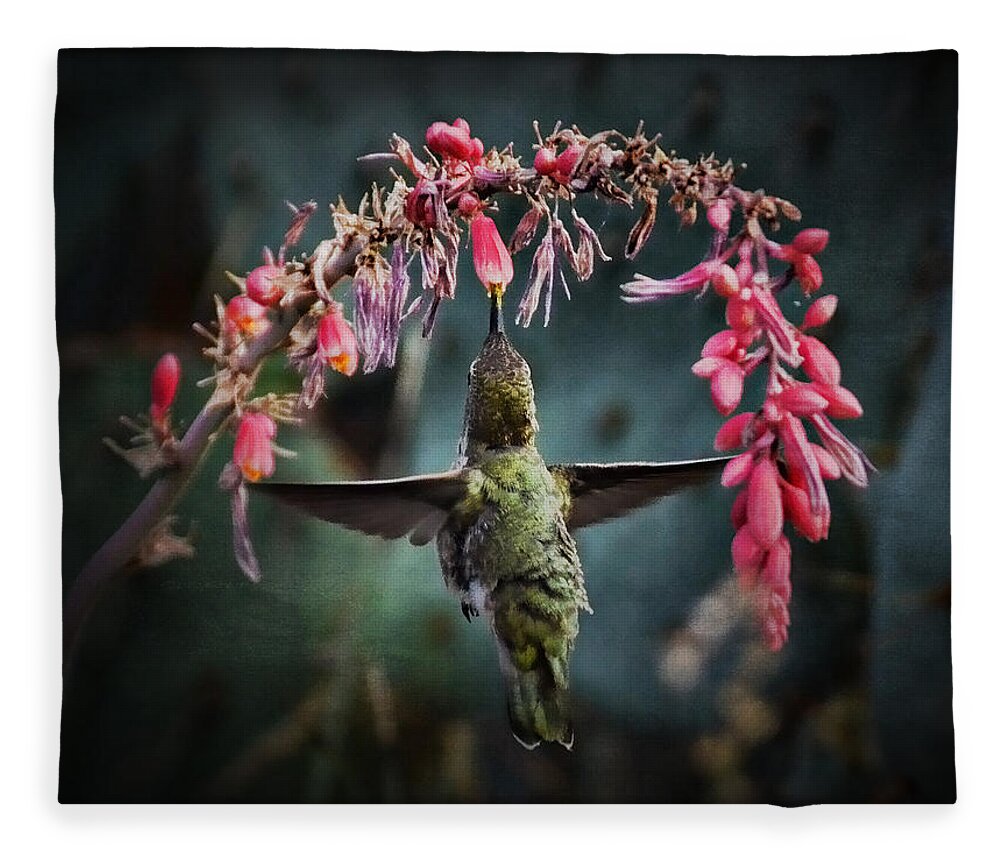 Anna's Hummingbird Fleece Blanket featuring the photograph Hang Time by Saija Lehtonen