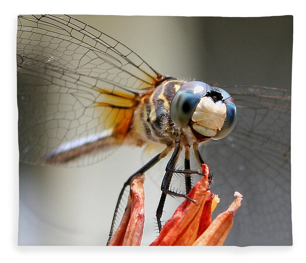 Nature Fleece Blanket featuring the photograph Happy Dragonfly by William Selander