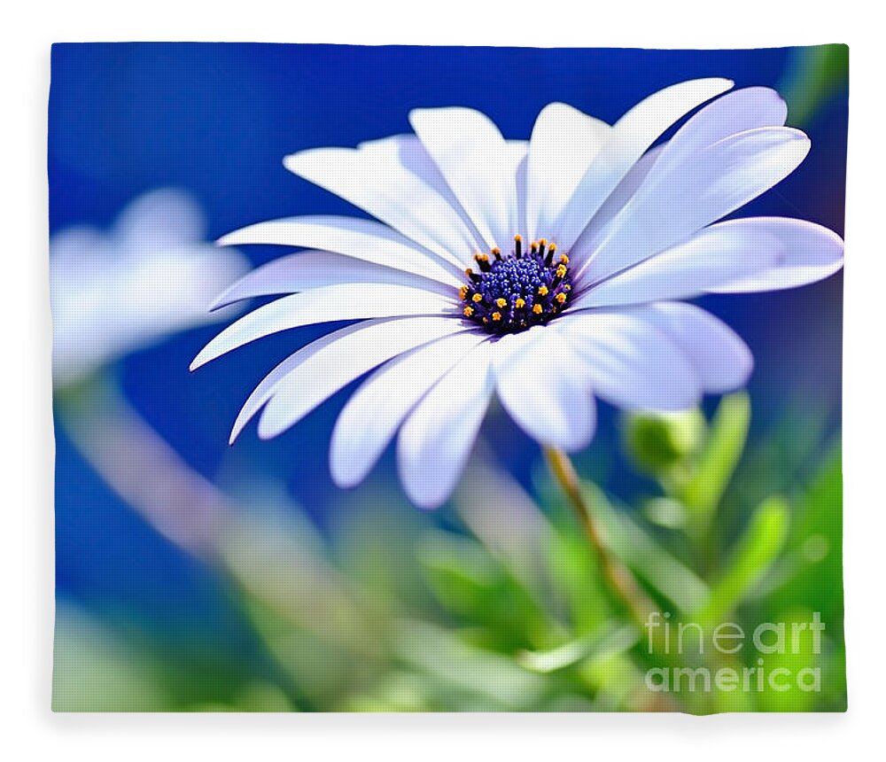 Photography Fleece Blanket featuring the photograph Happy White Daisy 2- Blue Bokeh by Kaye Menner