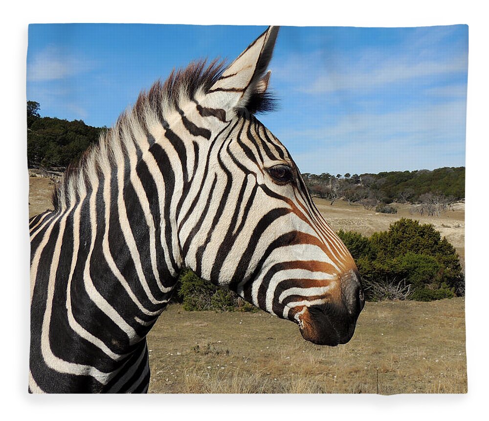 Zebra Fleece Blanket featuring the photograph Hartmann's Mountain Zebra - Profile by Jayne Wilson