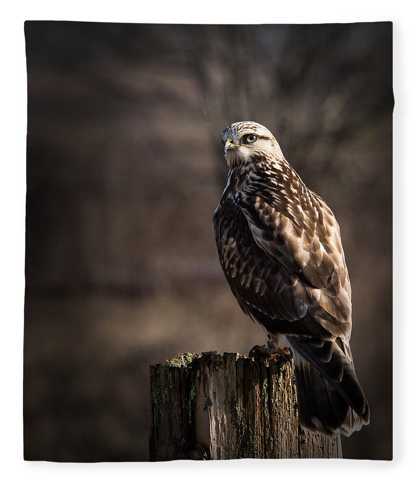 Rough-legged Hawk Fleece Blanket featuring the photograph Hawk On A Post by Randy Hall