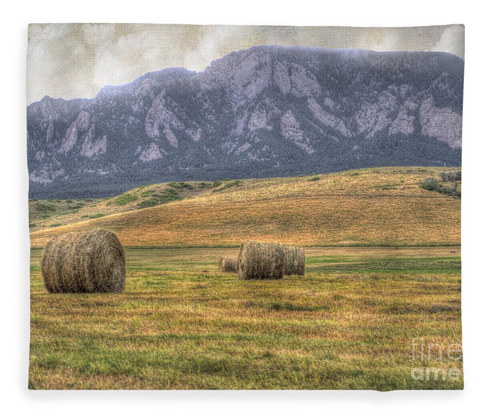 Agriculture Fleece Blanket featuring the photograph Hay There by Juli Scalzi