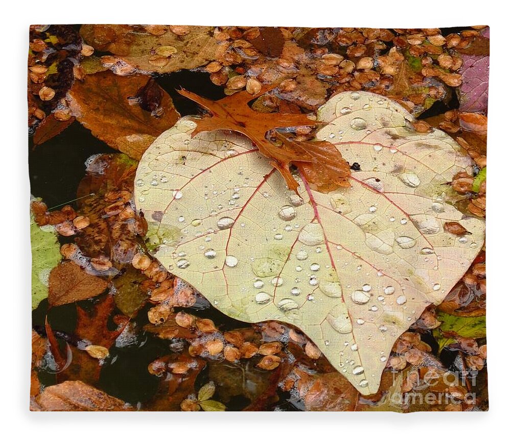 Nature Fleece Blanket featuring the photograph Heart Leaf II by Anita Adams