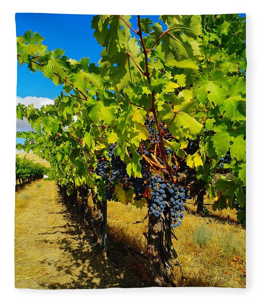 Grapes Fleece Blanket featuring the photograph Heavy On The Vine At The High Tower Winery by Jeff Swan