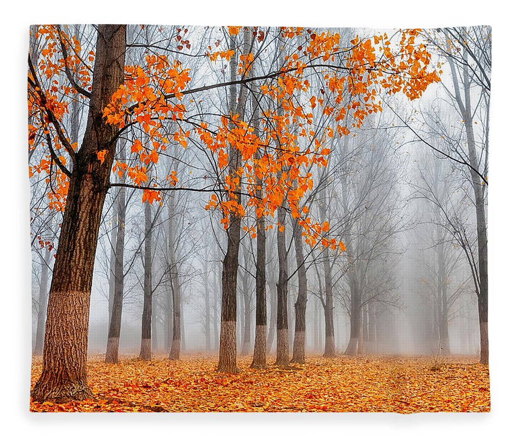 Bulgaria Fleece Blanket featuring the photograph Heralds Of Autumn by Evgeni Dinev
