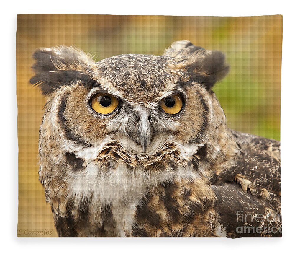 Owl Fleece Blanket featuring the photograph Here's Looking at You by Carol Lynn Coronios