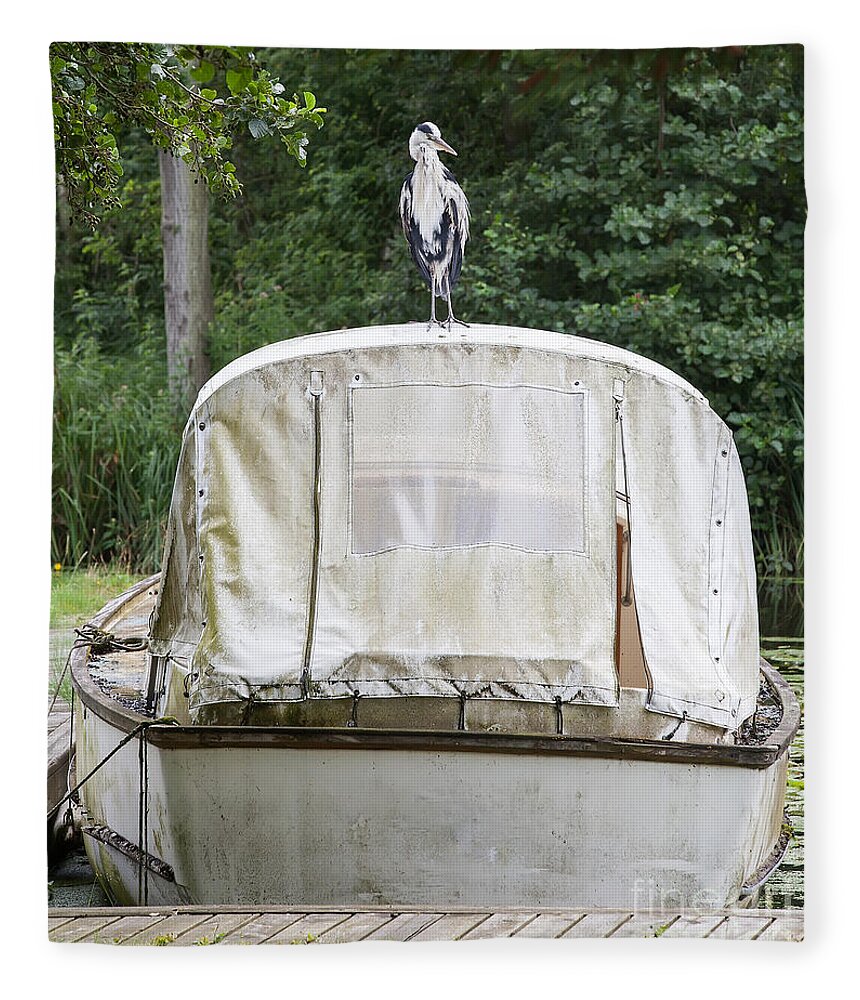 Heron Fleece Blanket featuring the photograph Heron perched on boat by Simon Bratt