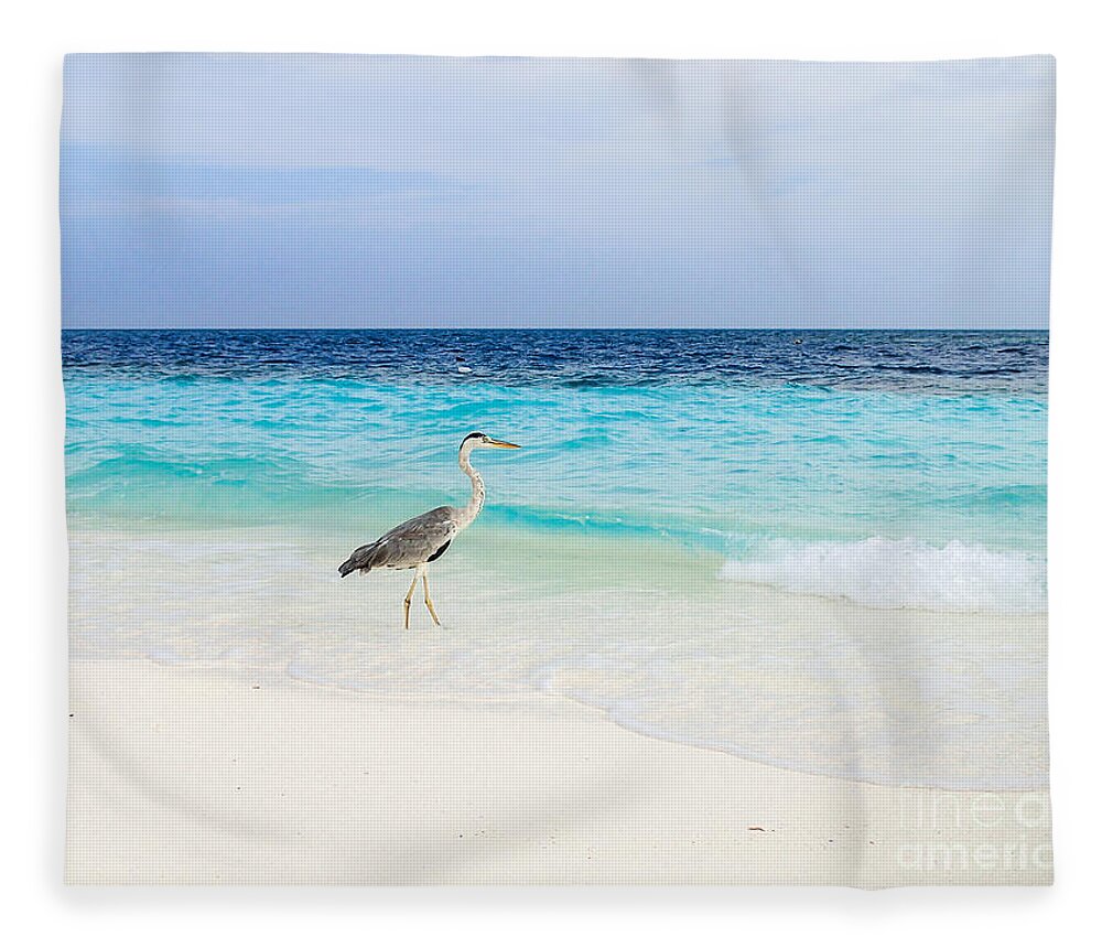 Animal Fleece Blanket featuring the photograph Heron Takes A Walk At The Beach by Hannes Cmarits