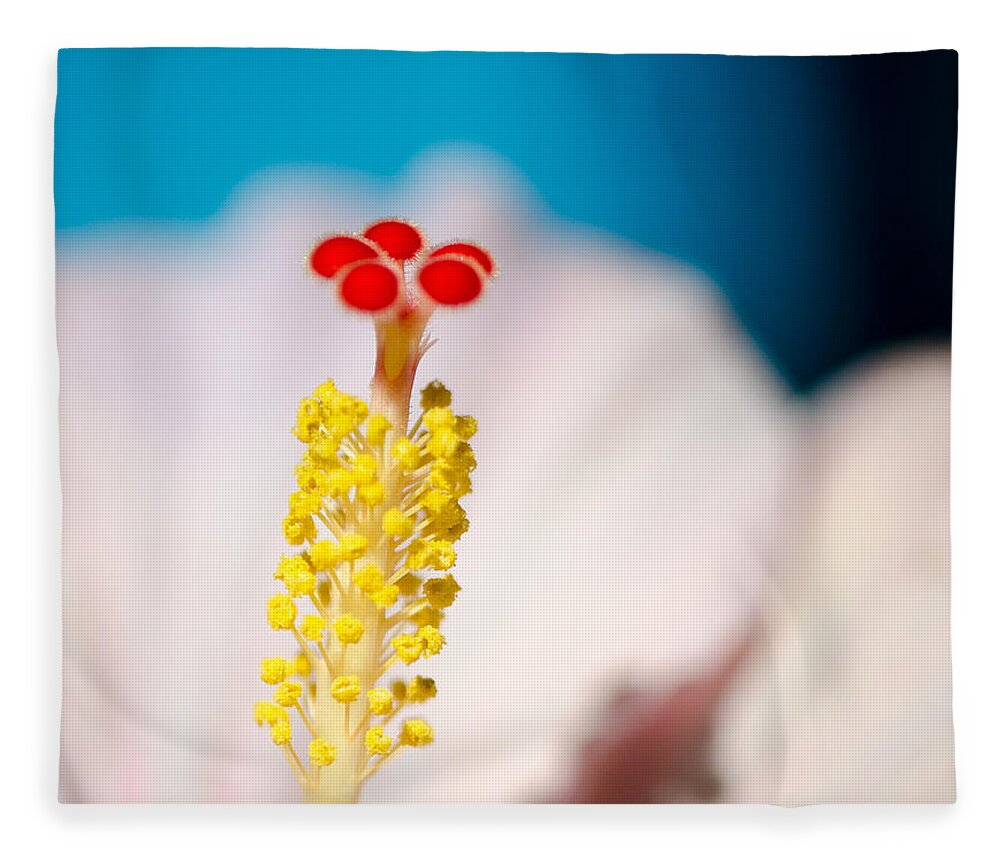 Hale Kai Hawaii Fleece Blanket featuring the photograph Hibiscus No. 2959 by Georgette Grossman